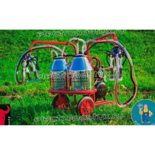 Доильный аппарат Melasty TK 2-2 PS передвижной, 2 коровы, до 20 голов в час