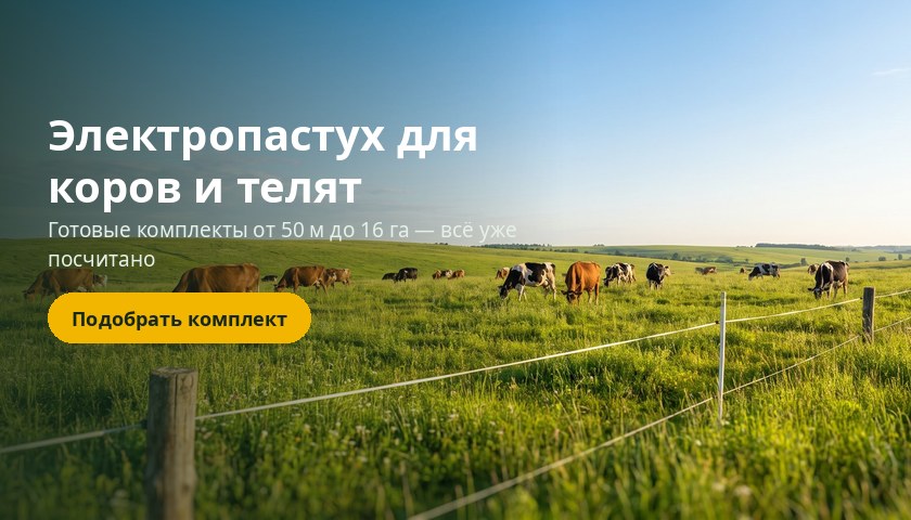 Электроизгородь на пастбище — Пастбище Плюс